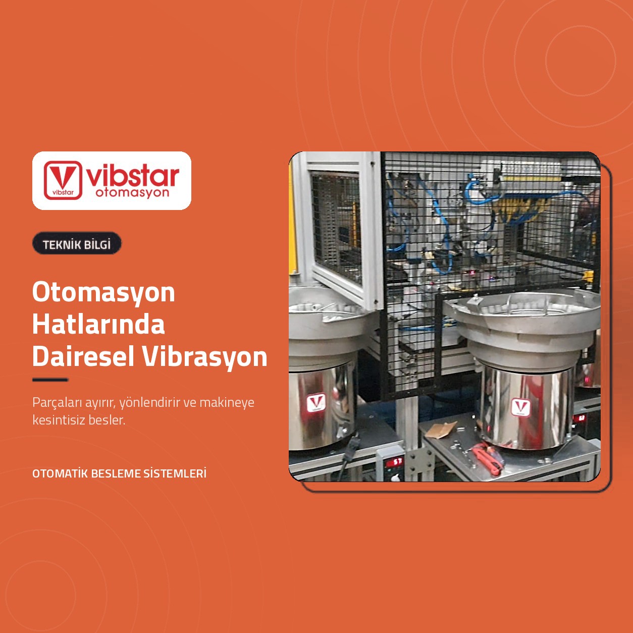 Otomasyon hattında VİBSTAR dairesel vibrasyon çanakları