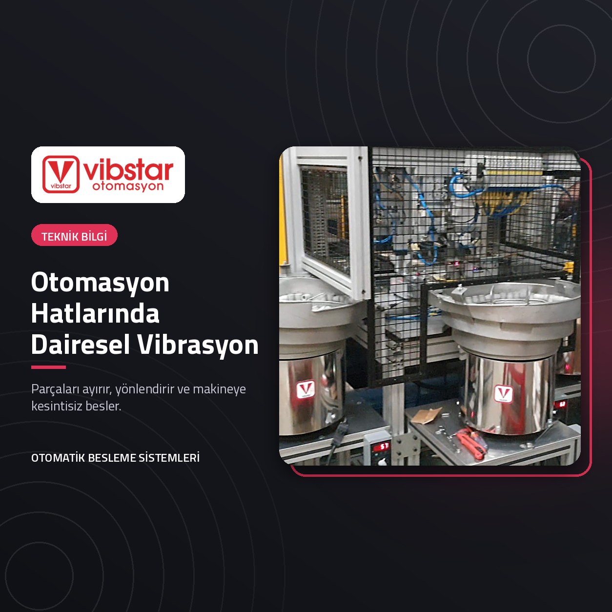 Otomasyon hattında VİBSTAR dairesel vibrasyon çanakları