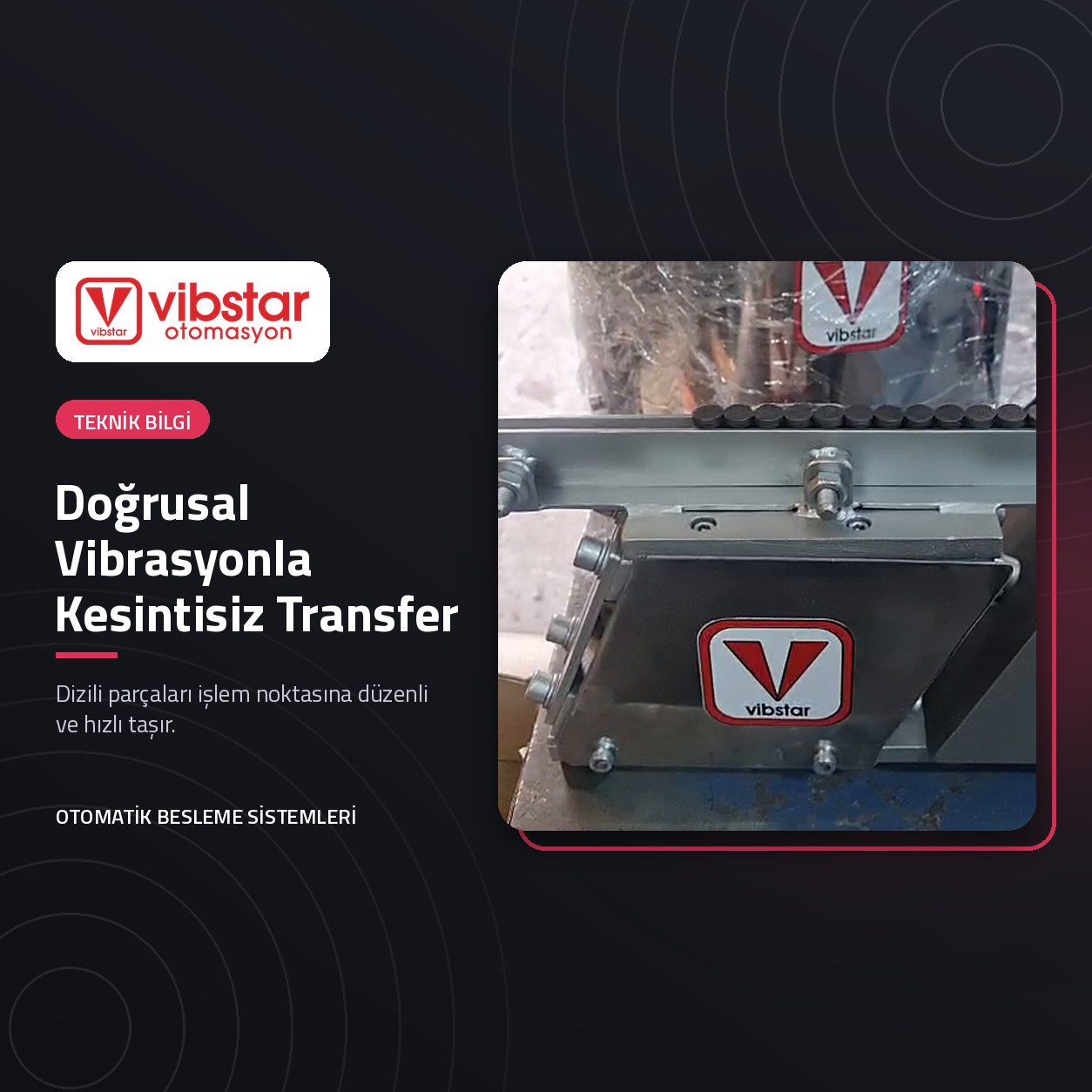 VİBSTAR doğrusal vibrasyon ünitesi